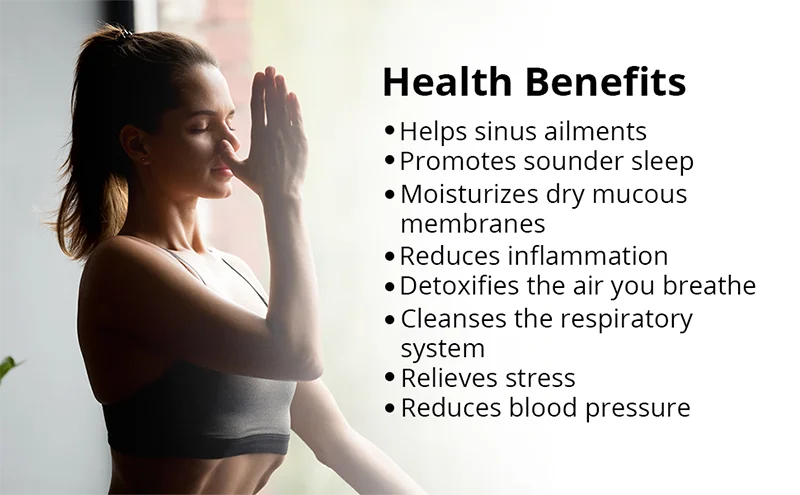 Ceramic Salt Inhaler Humidifier Convenient Himalayan Salt Atomizer For Cleaning Respiratory System And Relieving Stress